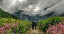 Valley-of-flowers